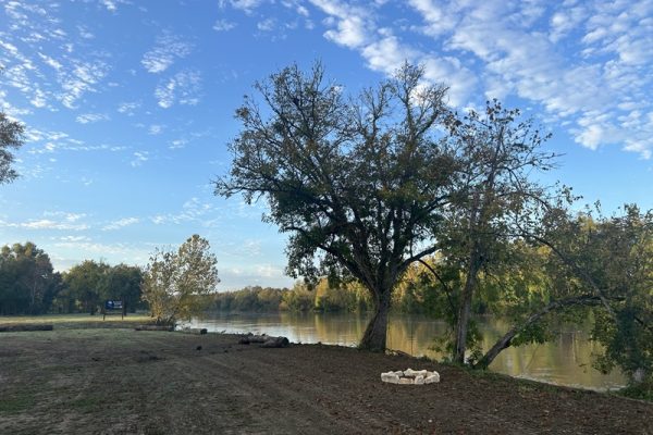 Square - Tent Camping Area 1 w. fire Ring
