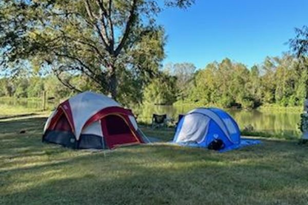 trinity river campgrounds